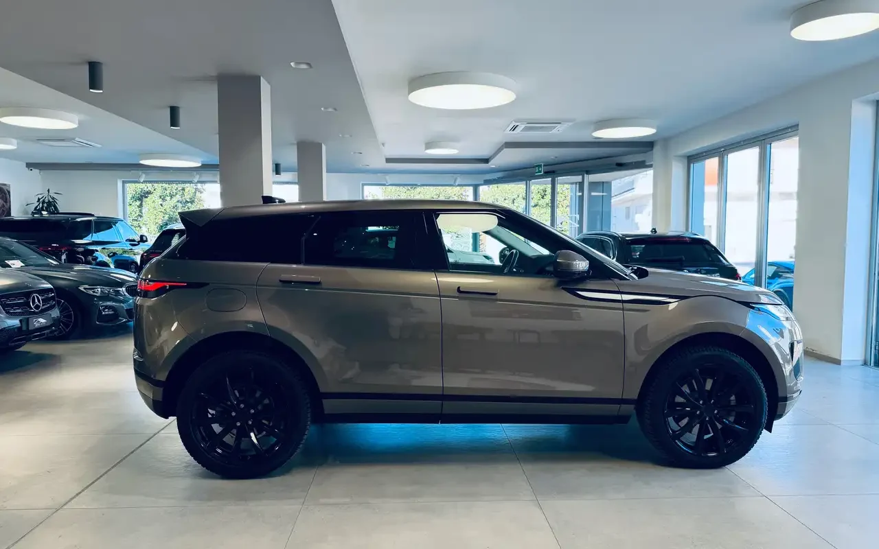 Zito Auto Srl